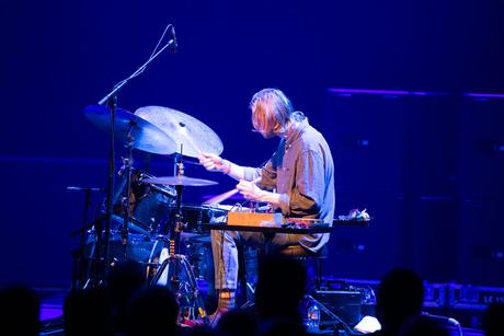 03.11.22.Mammal Hands.3.jpg